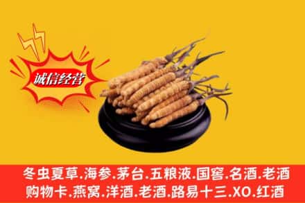 厦门翔安区求购回收虫草多少钱每克